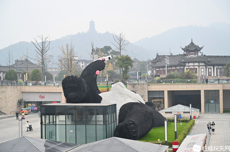 43 DSC_0505处理小图.jpg