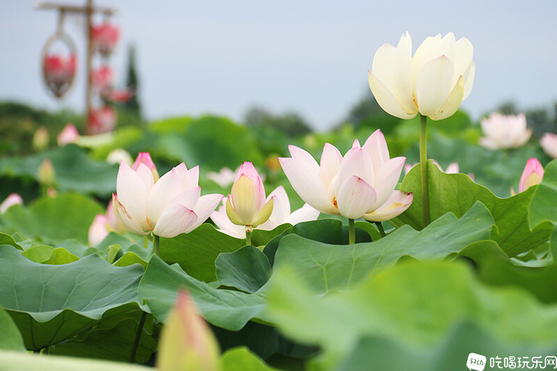 07 IMG_1241处理小图.jpg