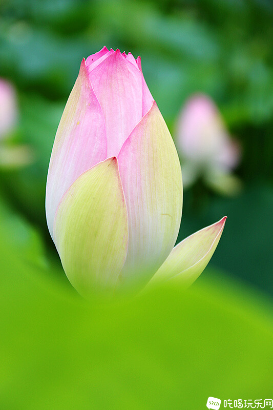 08 IMG_1243处理小图.jpg