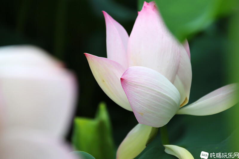 11 IMG_1260处理小图.jpg