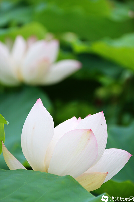 12 IMG_1261处理小图.jpg