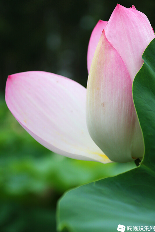 14 IMG_1278处理小图.jpg