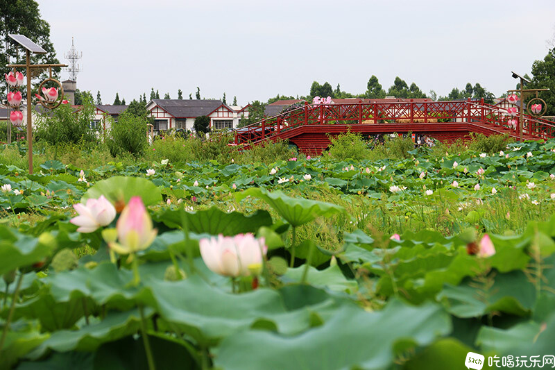 27 IMG_1311处理小图.jpg