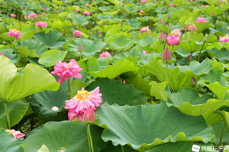 29 IMG_1315处理小图.jpg