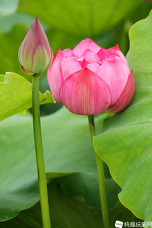 30 IMG_1316处理小图.jpg