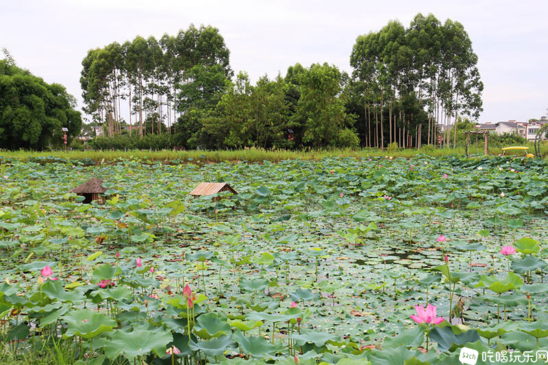 37 IMG_1336处理小图.jpg