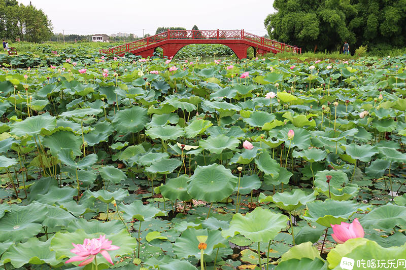 39 IMG_1340处理小图.jpg