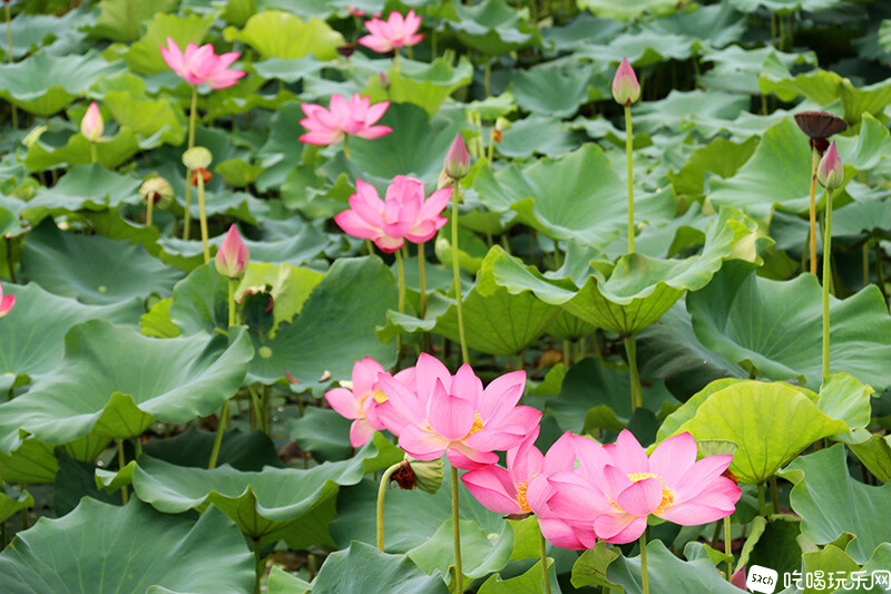 56 IMG_1378处理小图.jpg