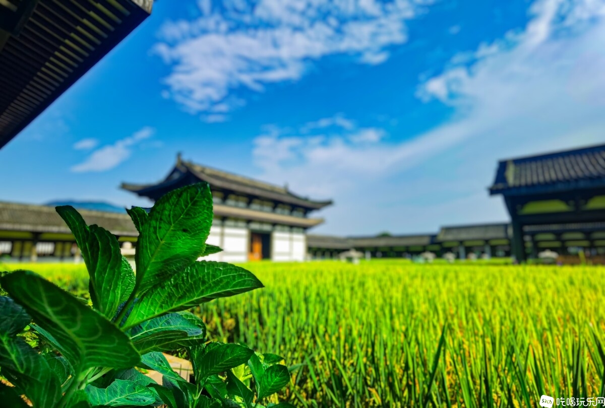 IMG_20230823_092354 拷贝.jpg